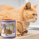 Suche nach orange tabby tassen Orangefarbene tafel