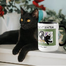 Recherche de peinture de chat Vert