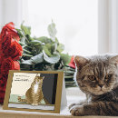 Suche nach hausbesitzer karten Katze