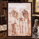 Suche nach menschlicher knochen poster Menschliches skelett