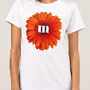 Recherche de marguerite de gerbera Fleur