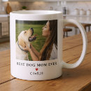 Suche nach hundebilder tassen Golden retriever