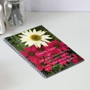 Recherche de échinacée carnets Floral