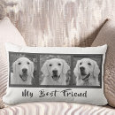 Recherche de amies coussins Moderne