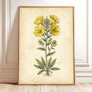 Recherche de doux impressions sur toile Décoration intérieure