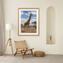 Suche nach afrikanische savanne poster Giraffe
