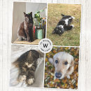 Suche nach lustige der hunde decken Tierliebhaber