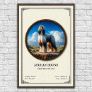 Suche nach afghanisch poster Tier
