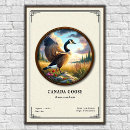 Suche nach kanada gans poster Wasservögel