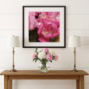 Suche nach pfingstrose poster Rosa