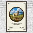 Suche nach anatolisch poster Hirte