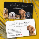Recherche de chien noir cartes visite Toiletteur