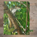Suche nach eichhörnchen puzzle Kleines tier