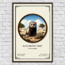 Suche nach marder poster Fleischfresser