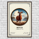Recherche de bongo posters Animal