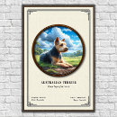 Suche nach kleiner blauer hund poster Australisch