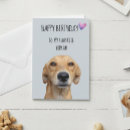 Suche nach alles gute zum geburtstag hunde postkarten Haustier