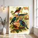 Suche nach zoologische poster Illustration