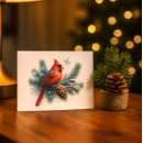 Suche nach wintervögel postkarten Kardinal