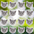 Recherche de grands chats autocollants Pour animaux