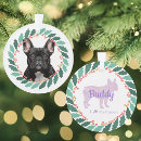 Recherche de bouledogue francais ornements Pour animaux