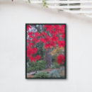 Recherche de feuille rouge posters Couleur d'automne