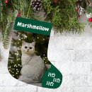 Recherche de bas chat de chaussette de noël Vert