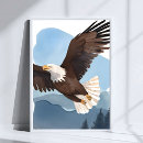 Suche nach weißkopfseeadler poster Flügel