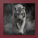 Suche nach weißer tiger puzzle Katze