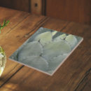 Suche nach agave fliesen Kaktus