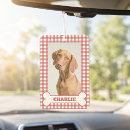 Recherche de chien désodorisants voiture Pour animaux