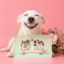 Suche nach adoptions visitenkarten Tierrettung