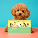 Suche nach aktiv visitenkarten Hundetrainer