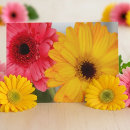Suche nach gerbera karten Blumig