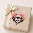 Suche nach shih tzu hund aufkleber Generativer inhalt