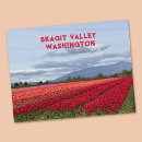 Suche nach tulpenfeld postkarten Bundesstaat washington