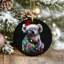Suche nach koala weihnachten Niedlich