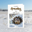 Suche nach murmeltiere karten 2 februar