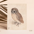 Suche nach natur postkarten owl