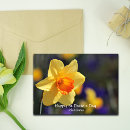 Recherche de jonquille vœux cartes Jonquilles jaunes