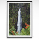 Suche nach rainforest poster Urlaub