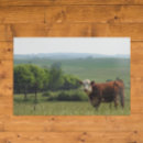 Recherche de midwest posters Nature