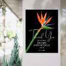 Suche nach birthday party poster Blume