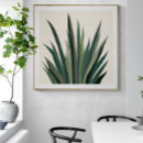 Recherche de agave posters Sud ouest