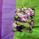 Recherche de fleurs lilas cartes postales Rose