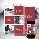 Suche nach weißes pferd karten Pferdeliebhaber