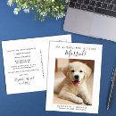Recherche de mariage chien cartes invitations Animaux de compagnie