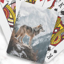 Suche nach grauer wolf Foto