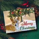 Recherche de corgi cartes fêtes annuelles Pembroke
