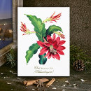 Recherche de cactus noël cartes postales Floral